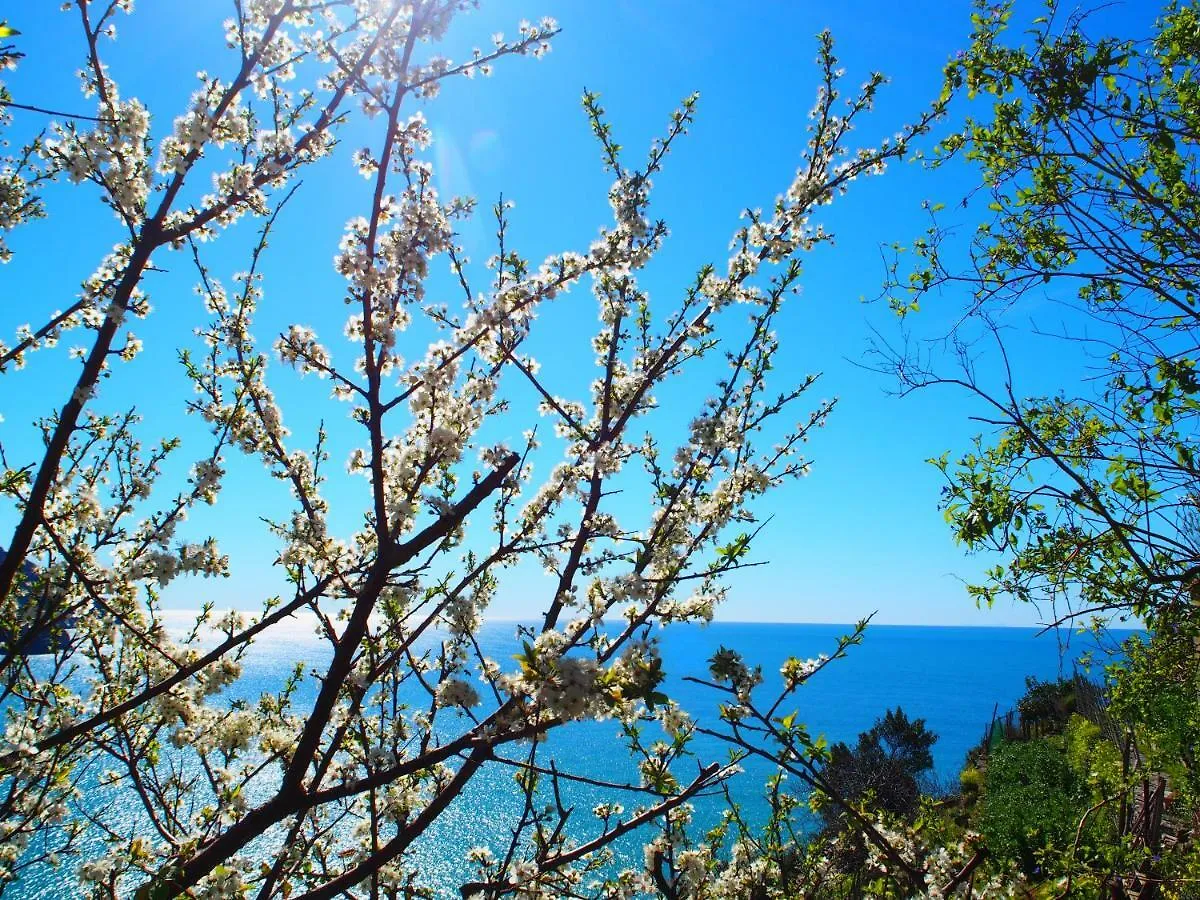 La Torre Apartments Corniglia